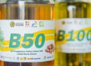 Implementasi B50 Punya Kendala Teknis & Bisnis Bagi Pengusaha Angkutan Jalan, Organda Buka Suara